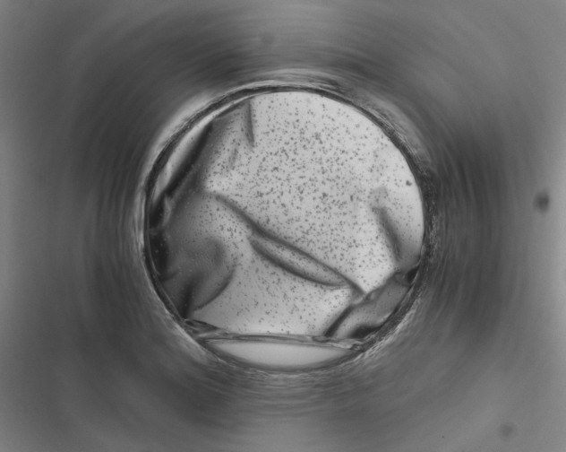 X0000116781180201001141505