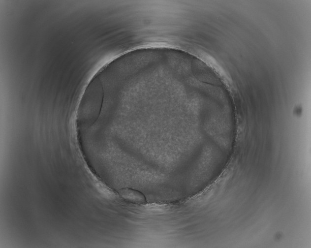 X0000116781181201001141505