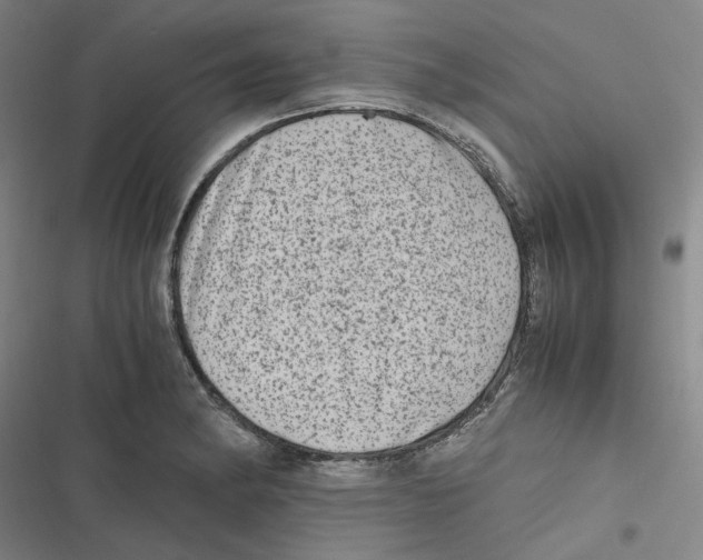 X0000116781182201001141505