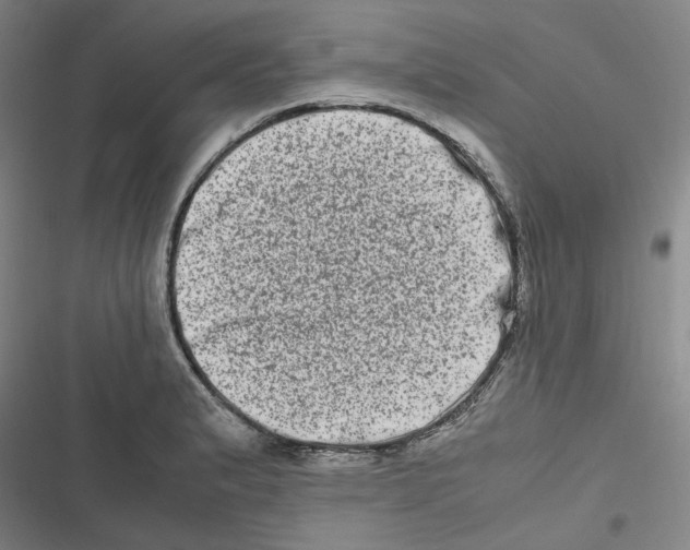 X0000116781183201001141505