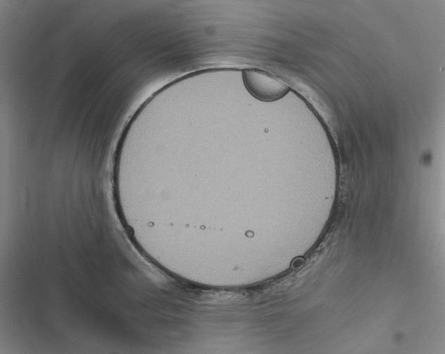 X0000116781187201001141505