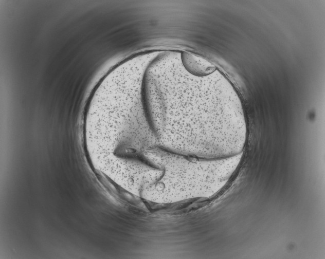 X0000116781188201001141505