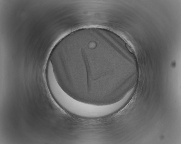 X0000116781189201001141505