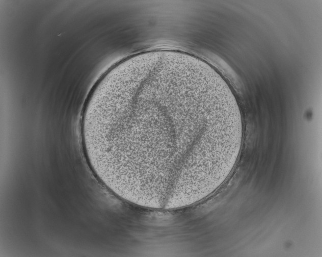 X0000116781190201001141505