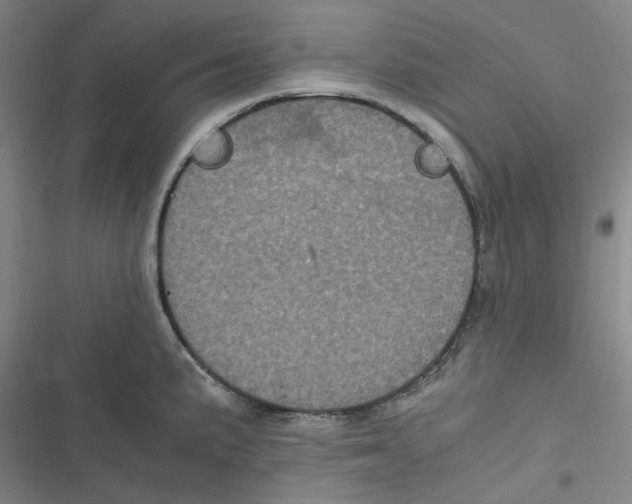 X0000116781191201001141505