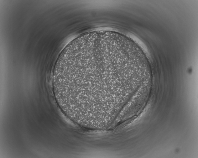 X0000116781193201001141505