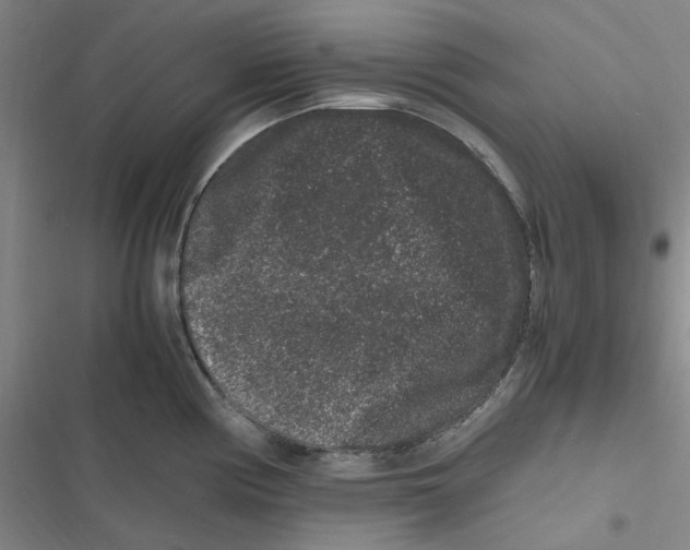 X0000116781194201001141505