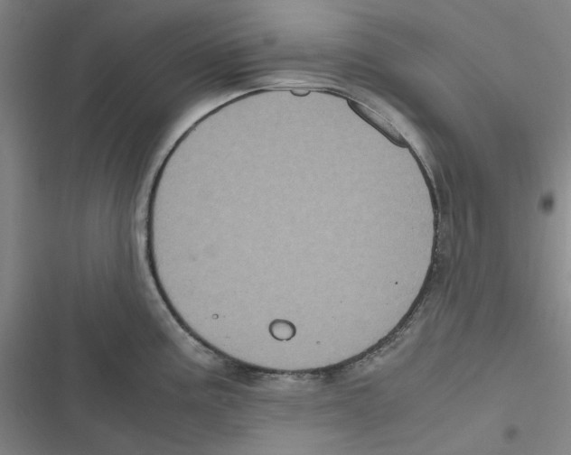 X0000116781195201001141505