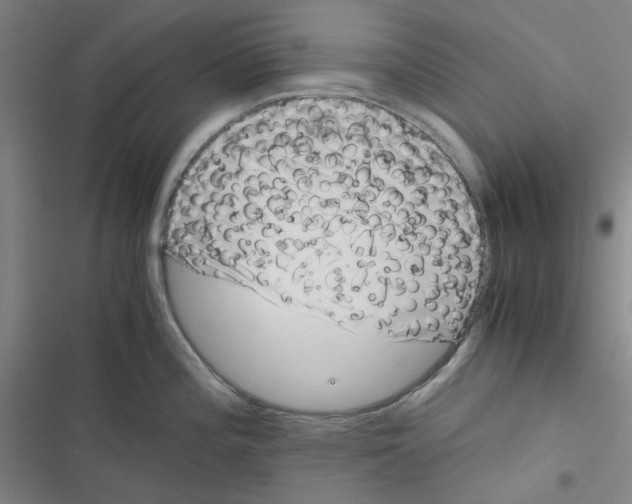 X0000116781196201001141505