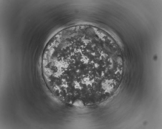 X0000116781198201001141505