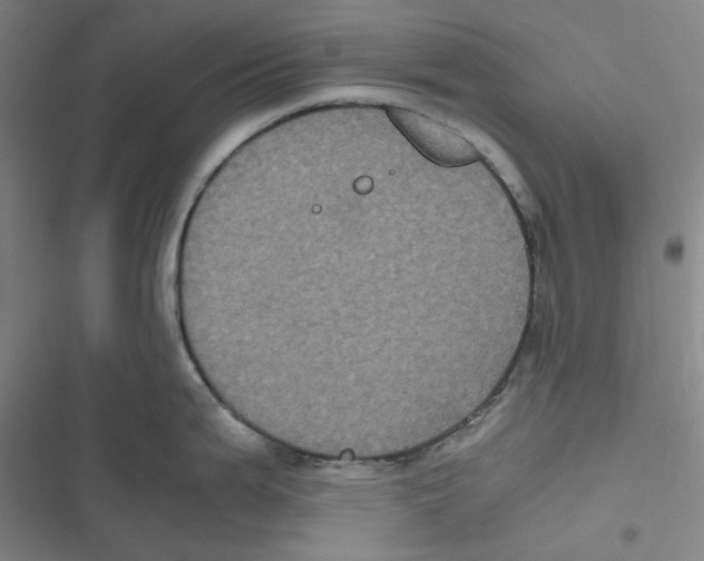 X0000116781199201001141505