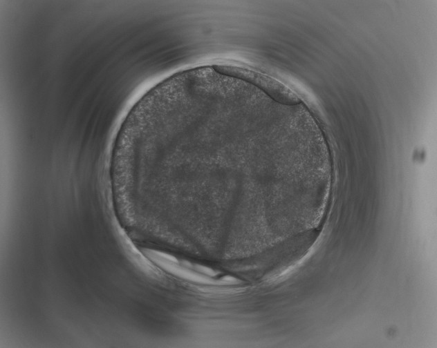 X0000116781200201001141505