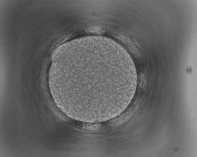 X0000116781201201001141504