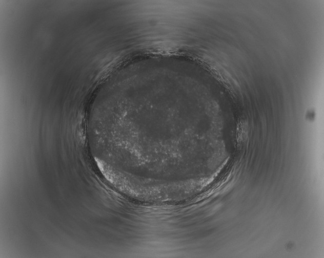 X0000116781202201001141504