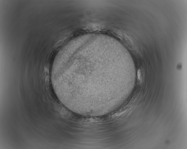 X0000116781203201001141504