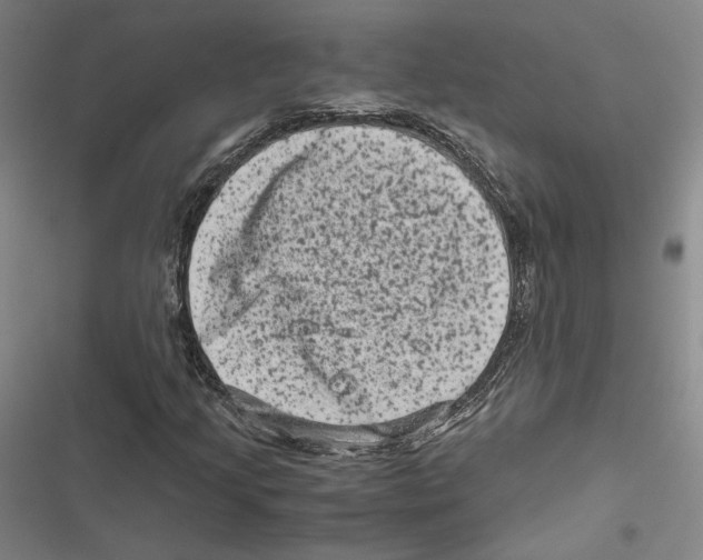 X0000116781205201001141504