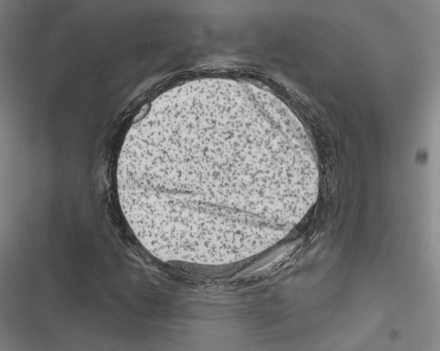 X0000116781206201001141504