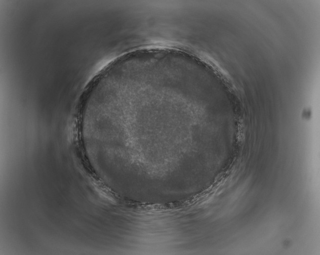 X0000116781208201001141504