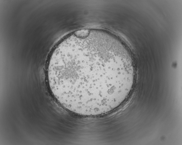 X0000116781212201001141504