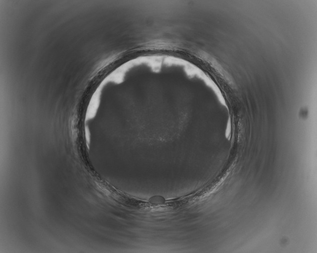 X0000116781213201001141504