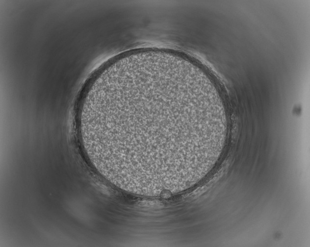 X0000116781215201001141504