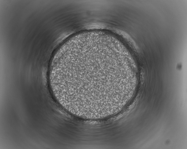 X0000116781217201001141504