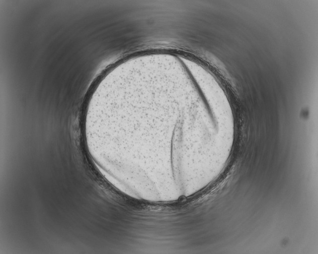 X0000116781218201001141504