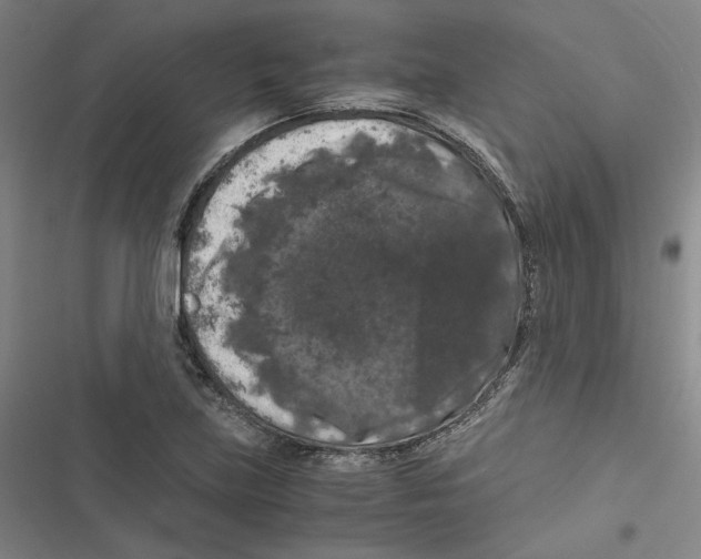 X0000116781219201001141504