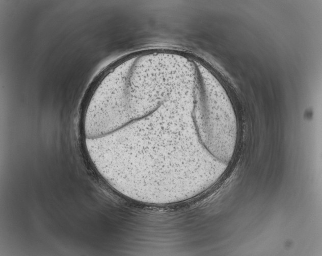 X0000116781222201001141505