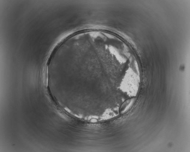 X0000116781223201001141505