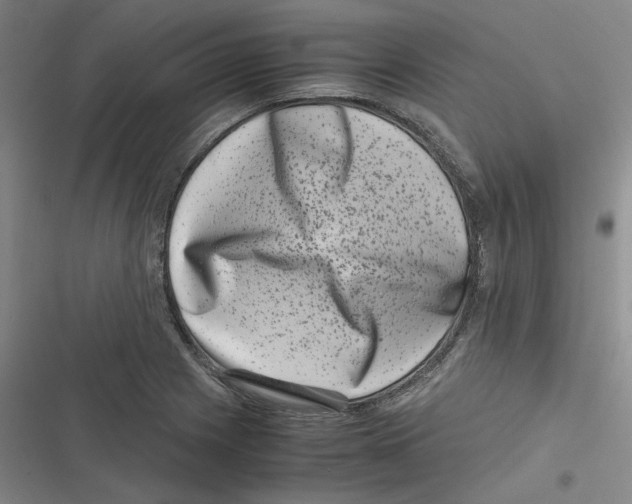 X0000116781225201001141505