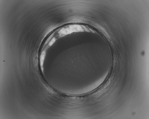 X0000116781226201001141505