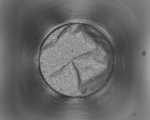 X0000116781228201001141505