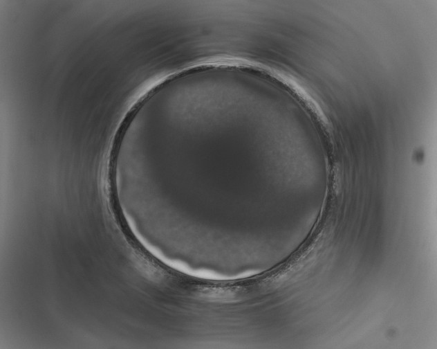 X0000116781229201001141505