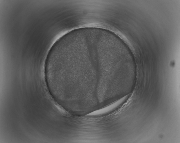 X0000116781230201001141505