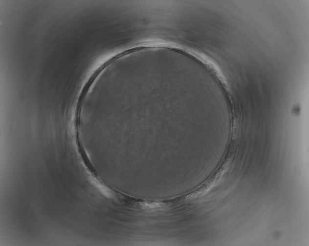 X0000116781231201001141505