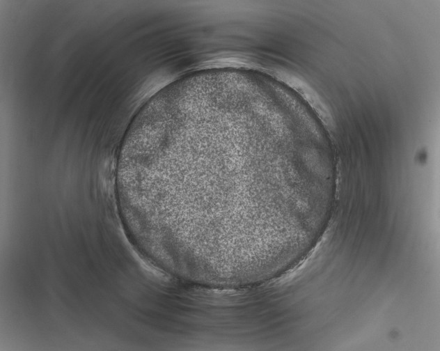 X0000116781233201001141505