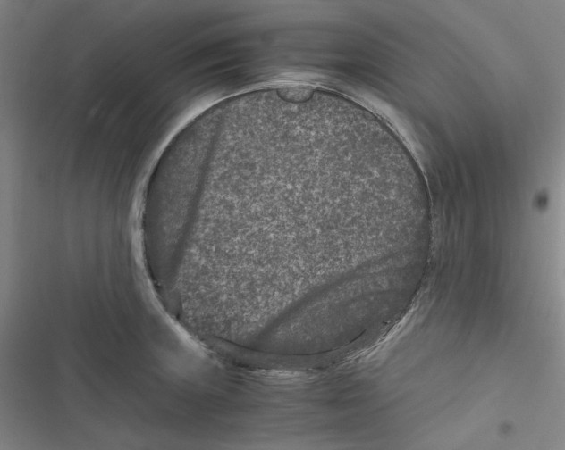 X0000116781235201001141505