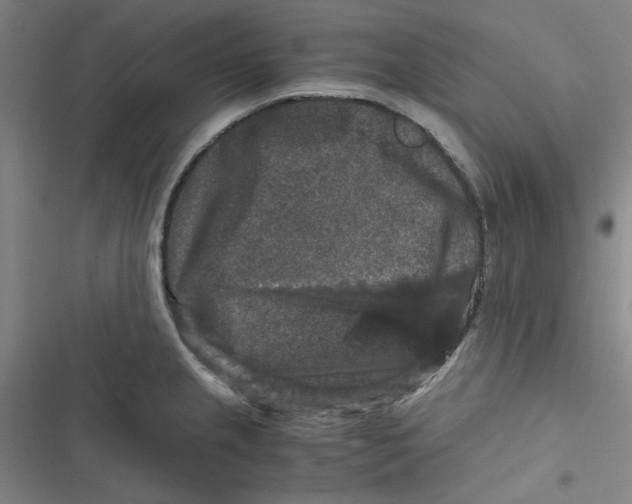 X0000116781237201001141505