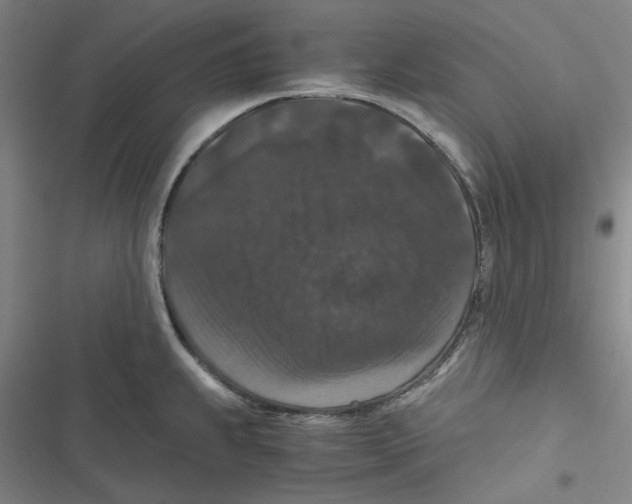 X0000116781239201001141505