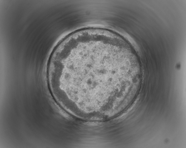 X0000116781240201001141505