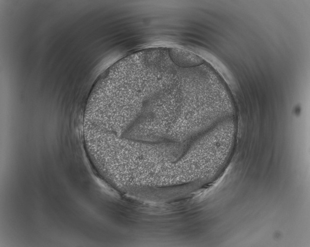 X0000116781241201001141505