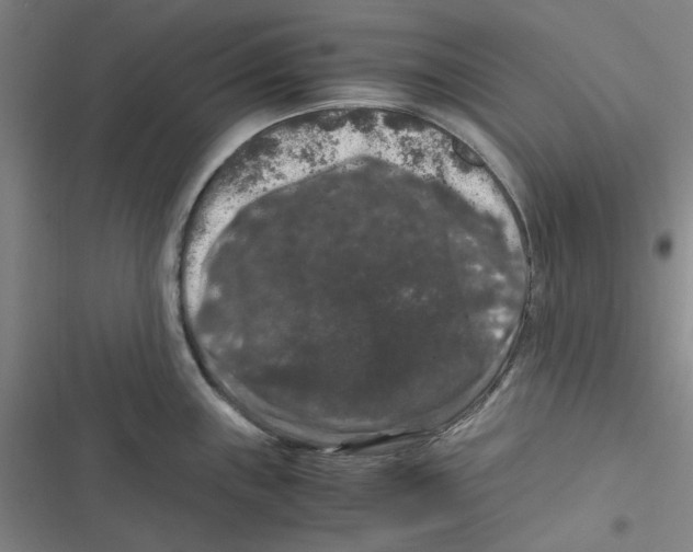 X0000116781243201001141505