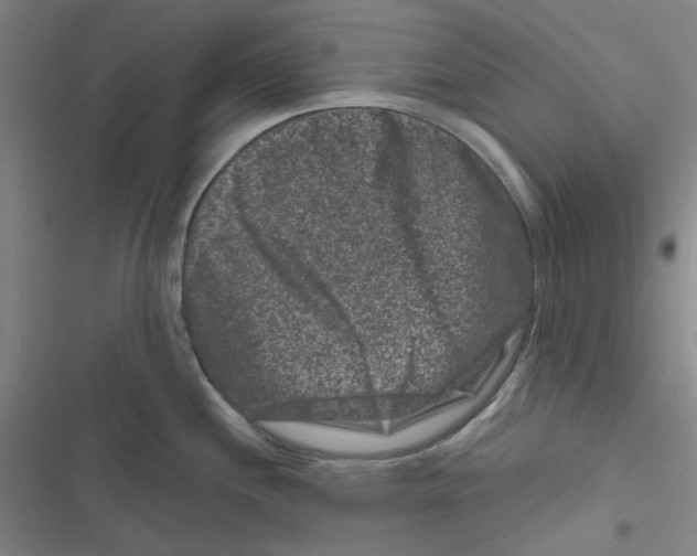 X0000116781244201001141505