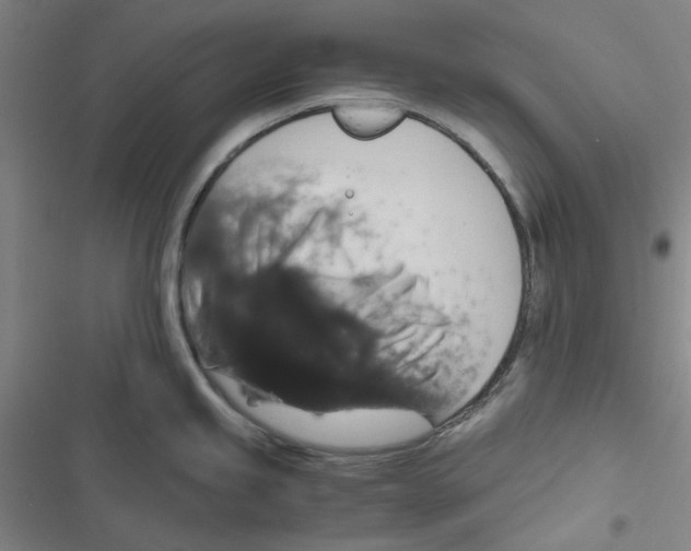 X0000116781245201001141505