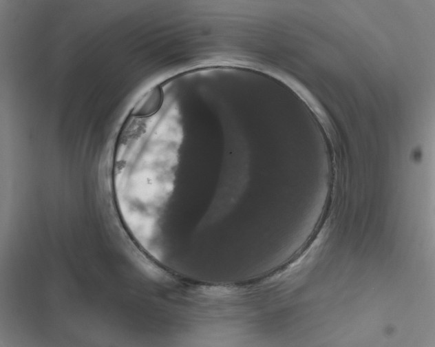 X0000116781246201001141505