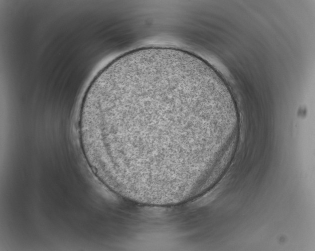 X0000116781248201001141505