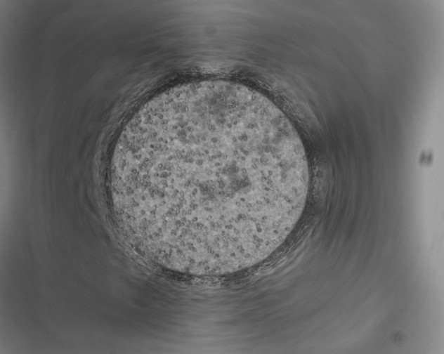 X0000116781249201001141504