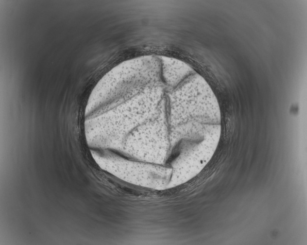 X0000116781250201001141504