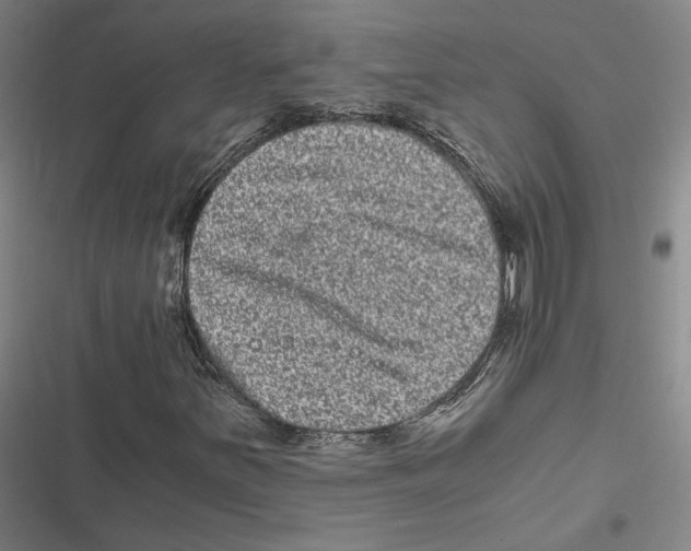 X0000116781251201001141504